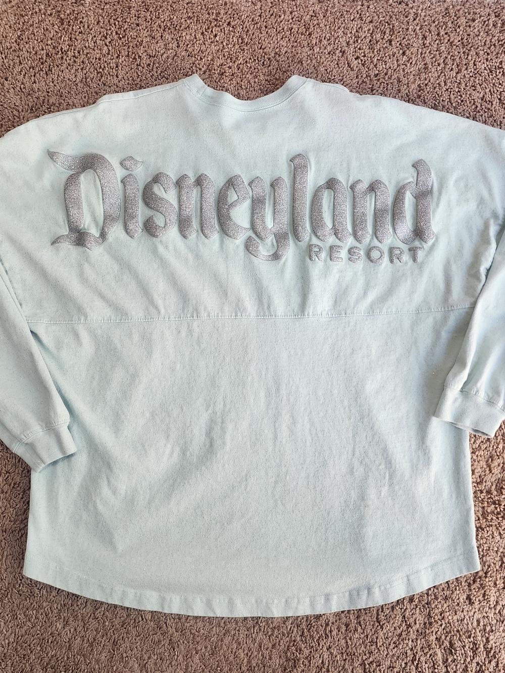 Disneyland Resort Spirit Jersey, Mint Green Glitter Puffy Logo, Oversized XL